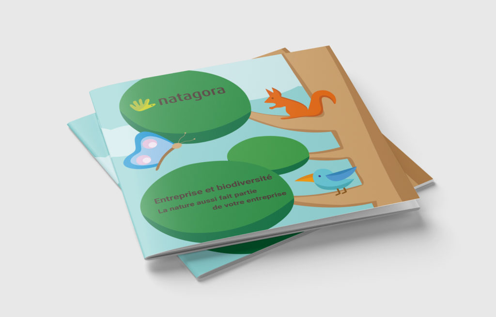 Création d'une mise en page et illustrations en flat design pour Natagora 2 Natagora cover